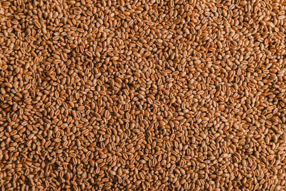 Ingredientes naturales en su forma pura